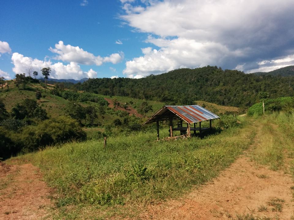 Farm in Pai, Thailand