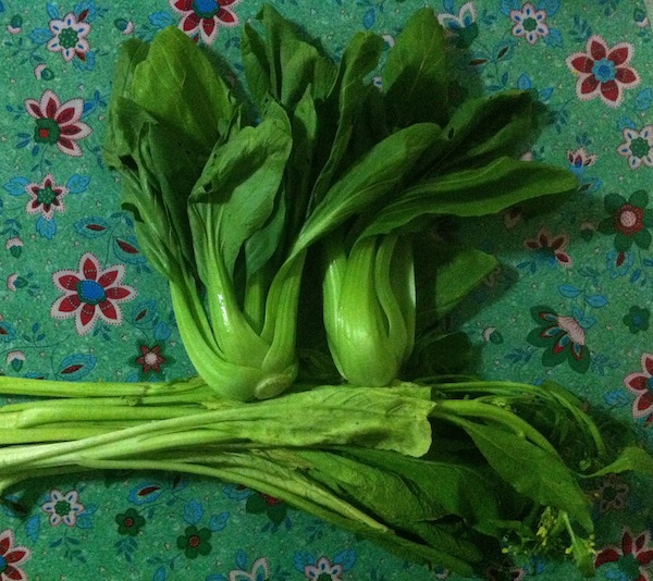 Bok choy and kale for green juicing