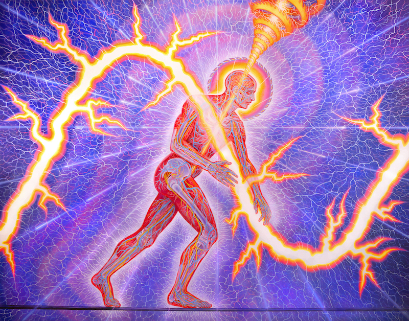 Lightworker by Alex Grey