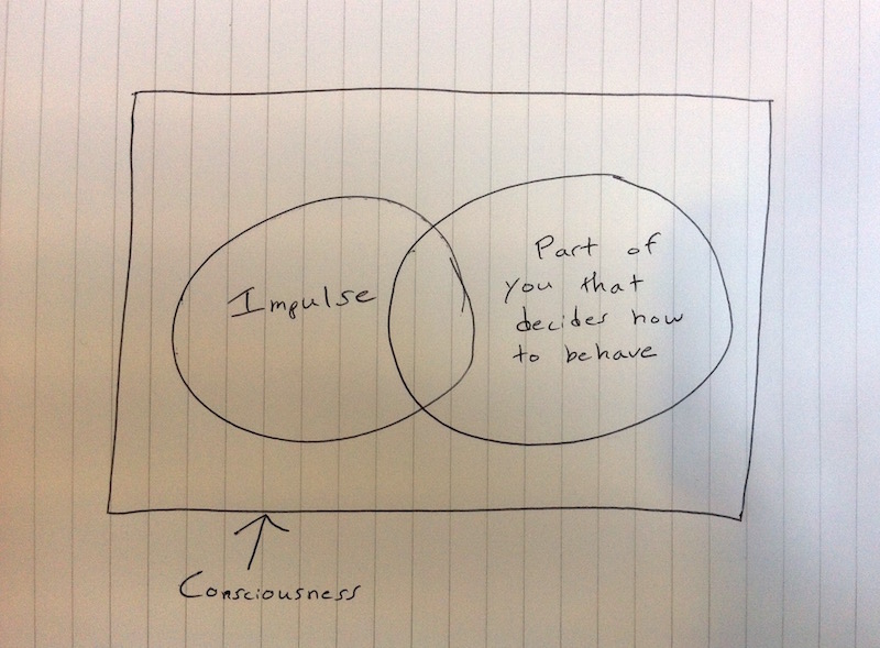 Drawing demonstrating the overlap of impulses and the part of a person that decides how to behave within consciousness