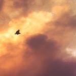 INTJ personality type flying solo
