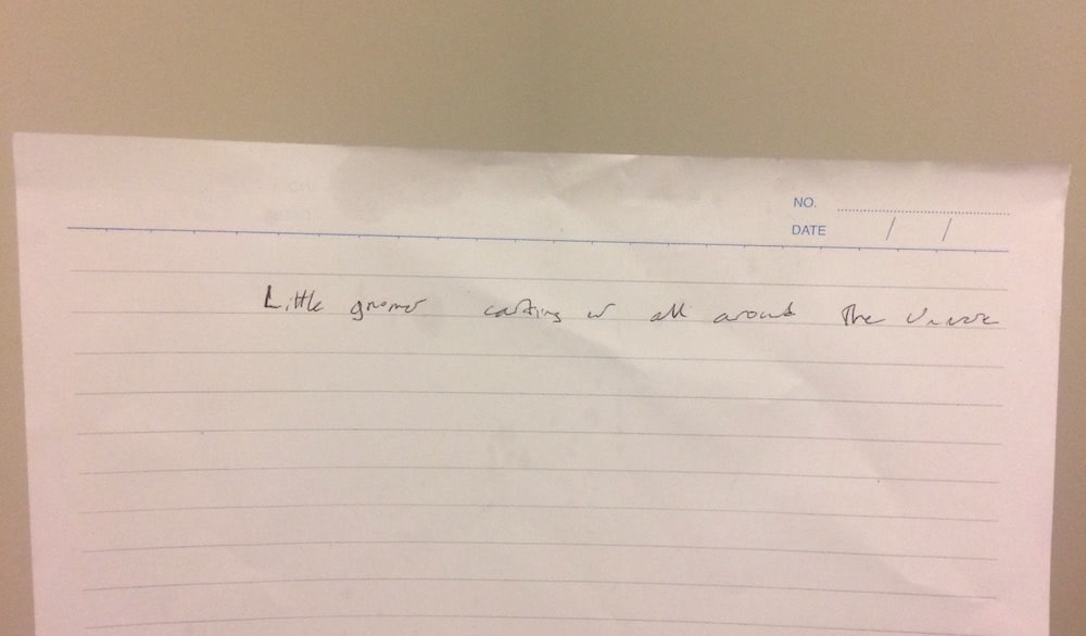 DMT experience note saying Little gnomes carting us all around the universe