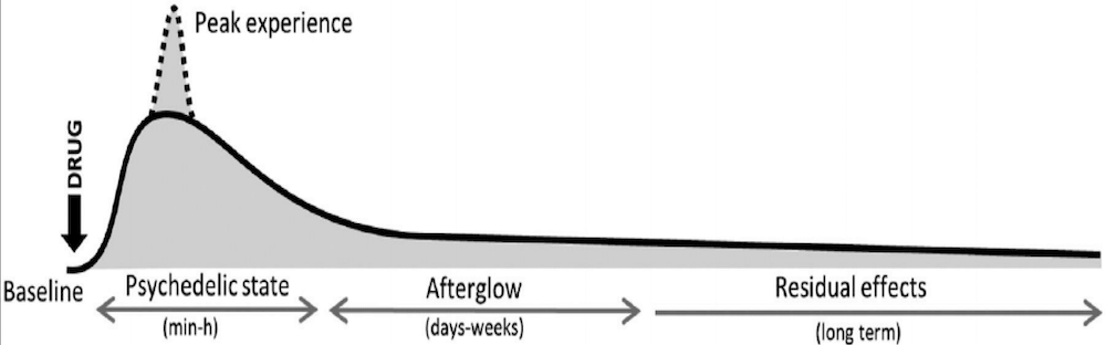 Long Term Effects of Peak Mystical Experience