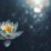 The Practical Benefits of Meditation